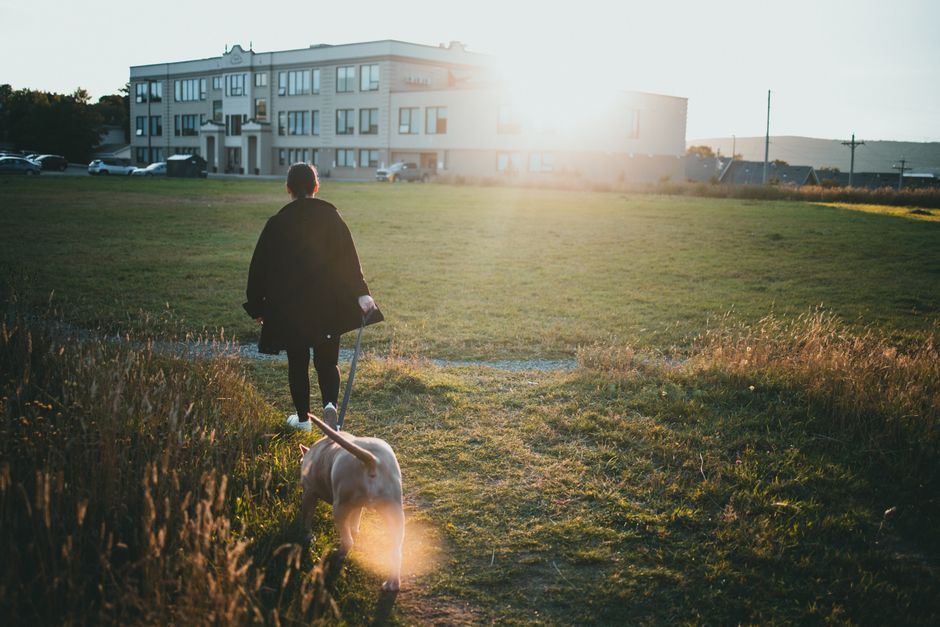 Tutora caminhando com seu cachorro ao pôr do sol